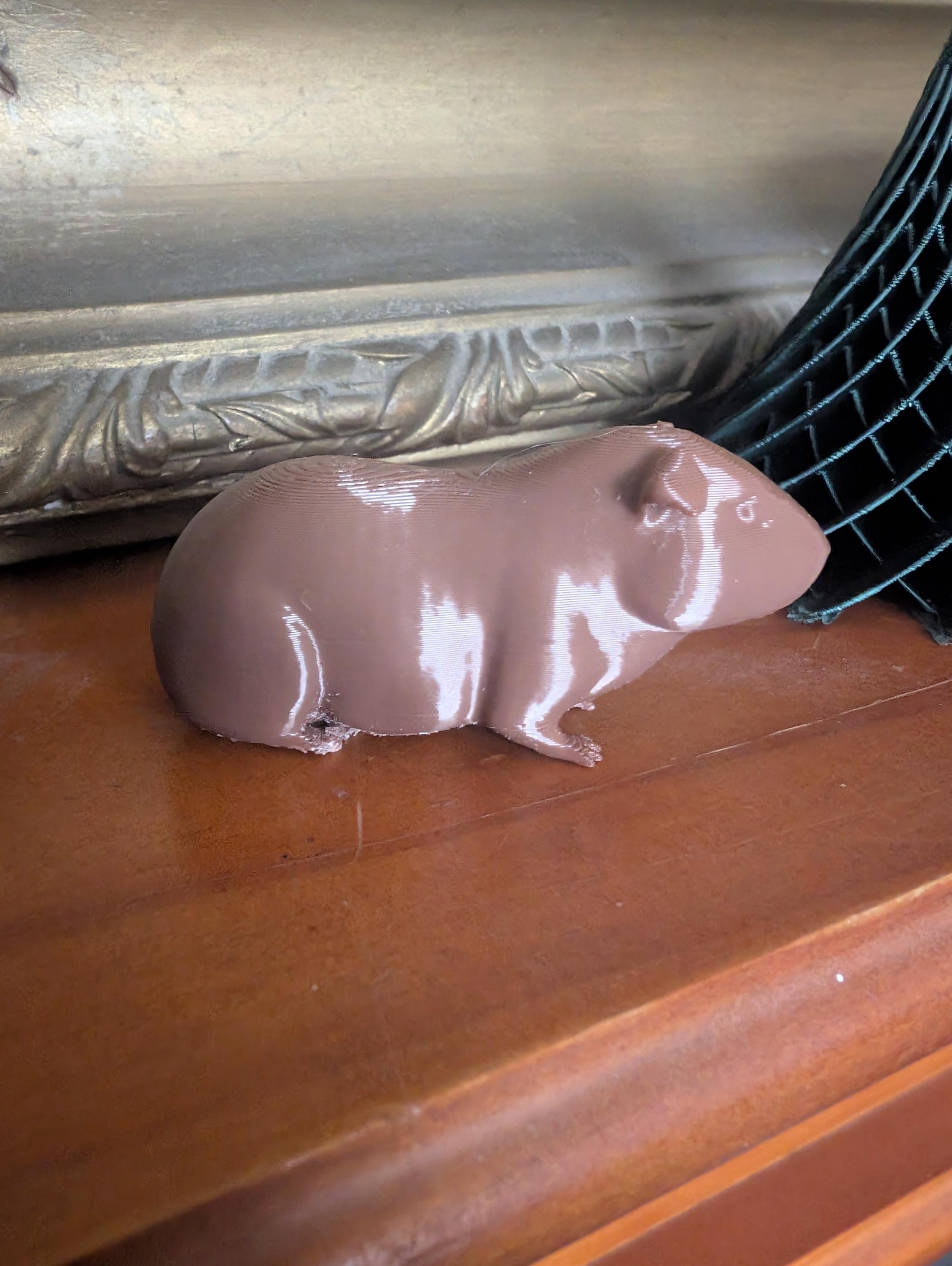 Guinea pig miniature, tabletop home decoration, 3D printed animal, Guinea pig  cake topper, pet memorial,  3d printed