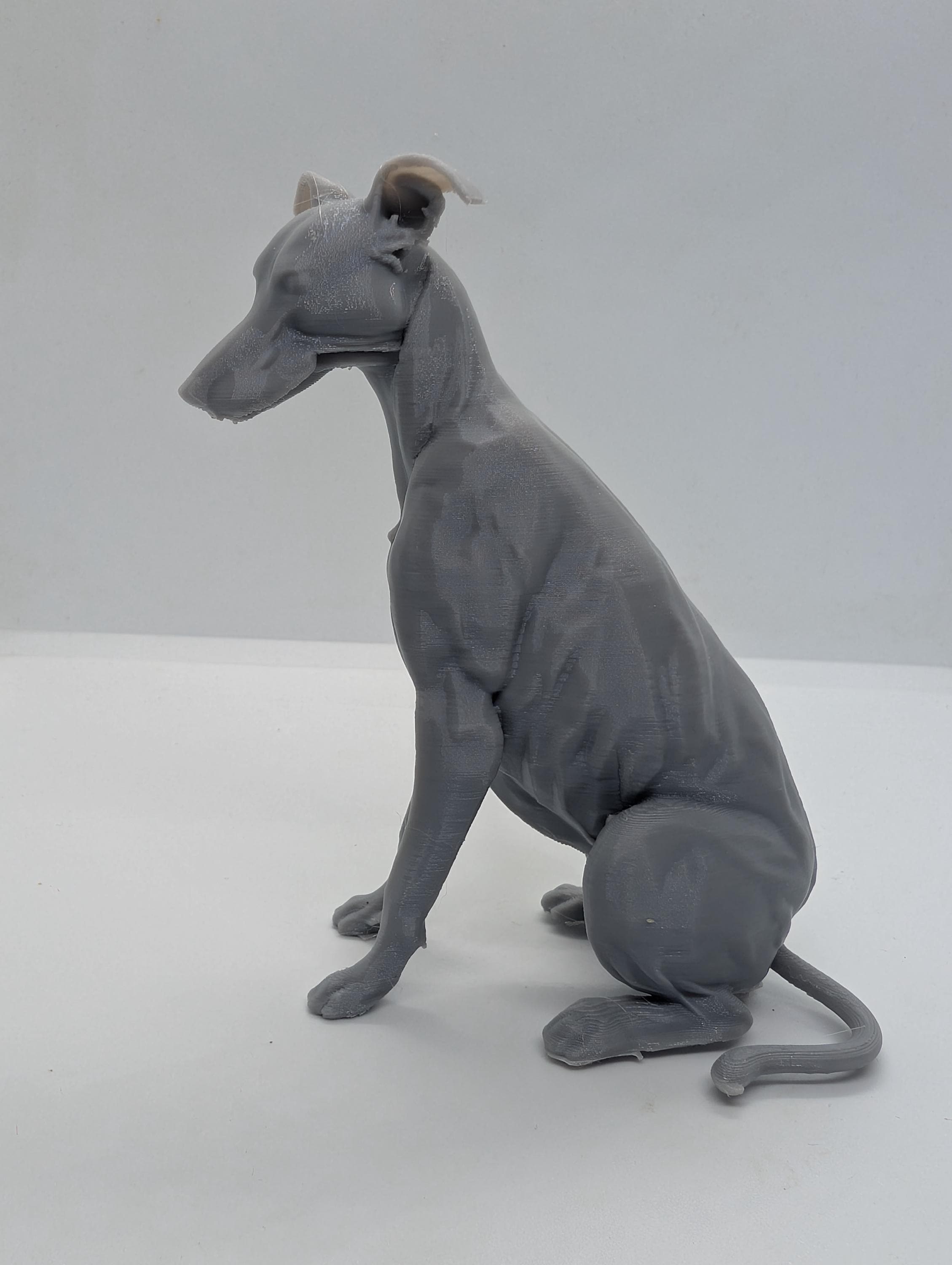 Greyhound whippet lurcher dog miniature, 3D printed dog, cake topper, tabletop dog figurine, home decoration, dog memorial  pet memorial