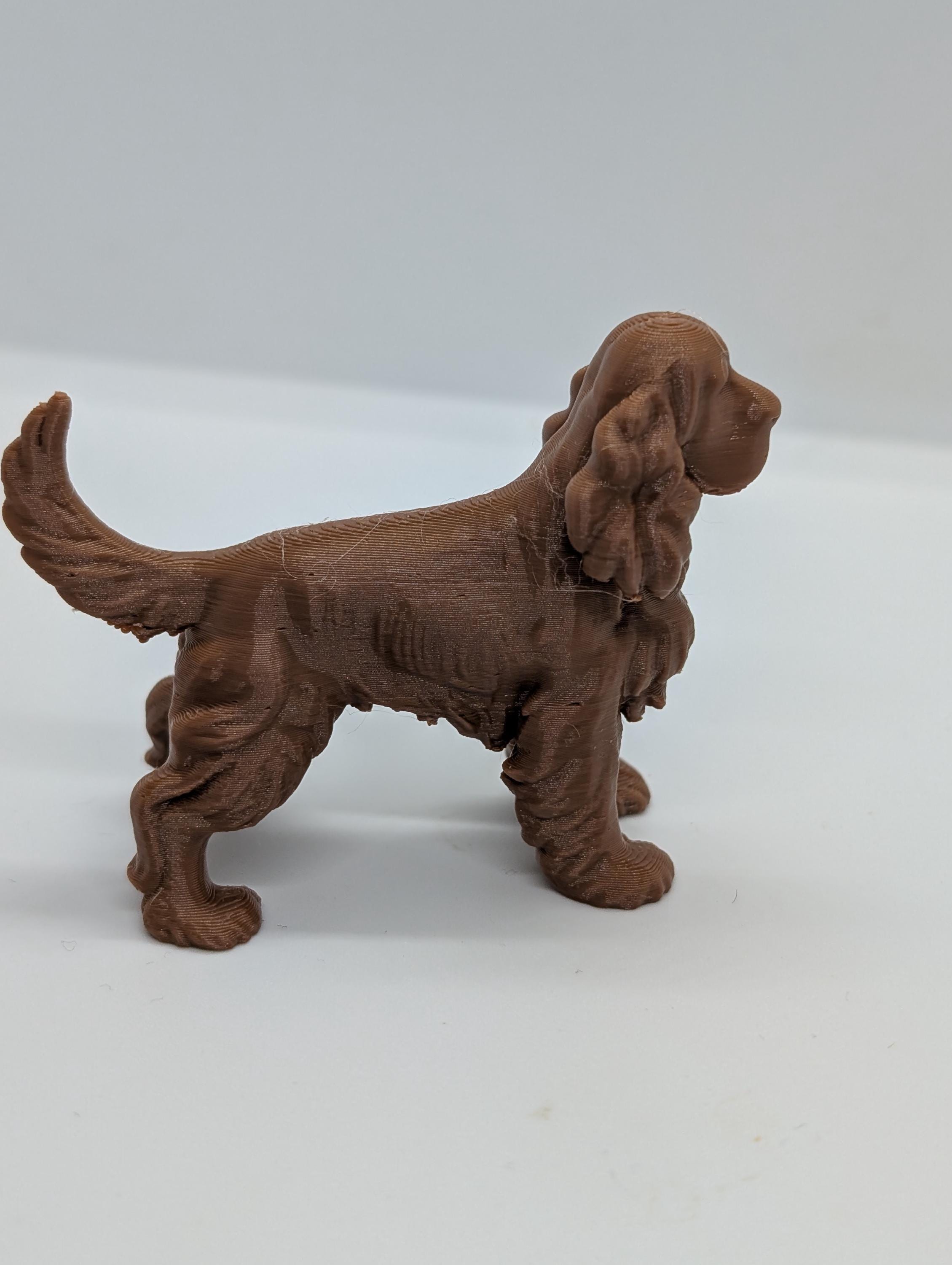 English cocker spaniel, 3D printed dog,  3d printed  English dog figurine, dog memorial, cake topper, cocker spaniel gift, dog miniature