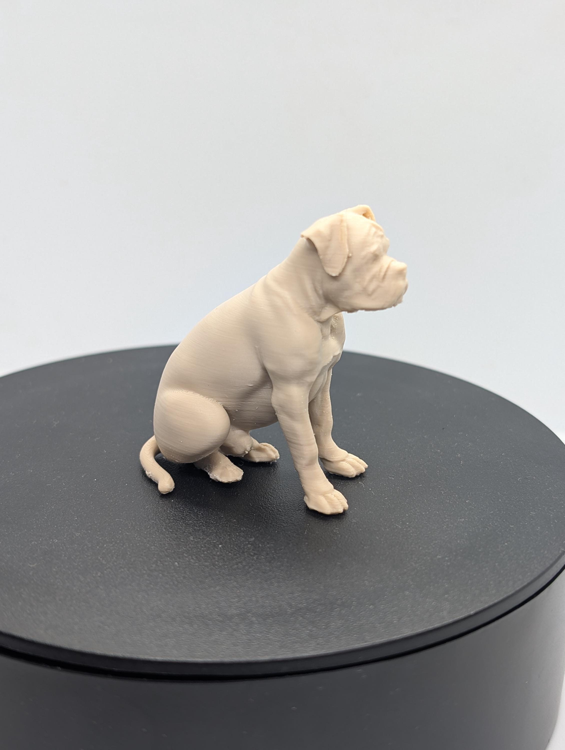Boxer dog miniature figurine, 3D printed dog, home decor, cake topper, perfect dog lover gift,  dog memorial, pet loss memorial