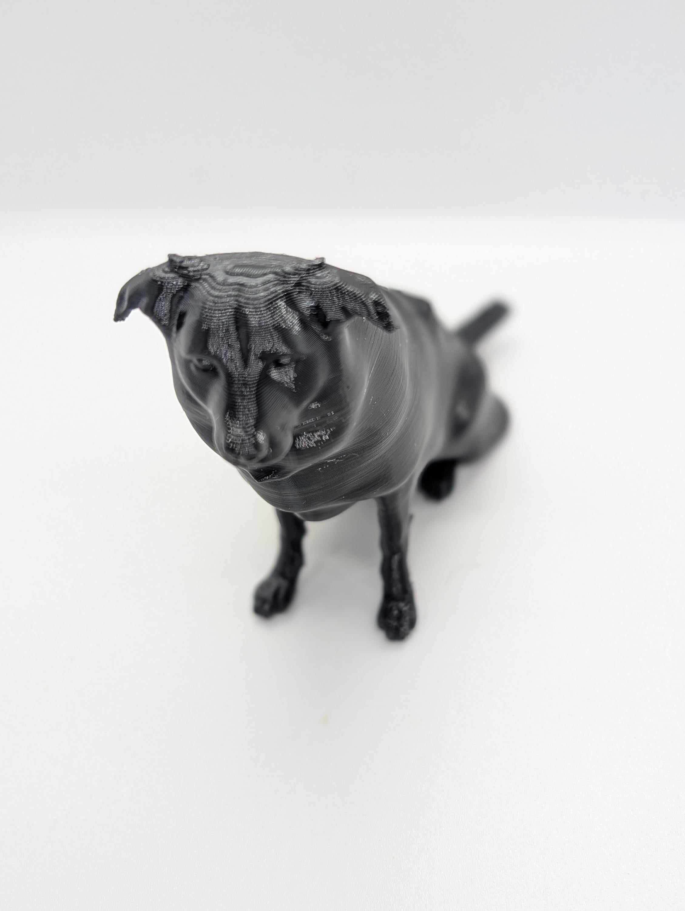 Border collie dog miniature, 3D printed dog, cake topper, home decor, perfect dog gift