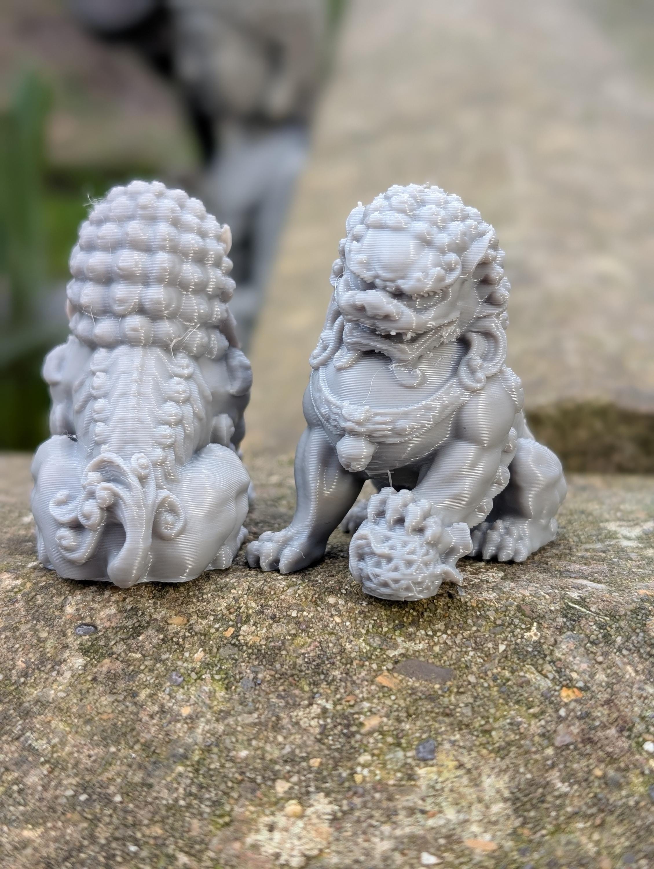 Chinese Feng Shui Foo/Fu Lion Dog, 3D printed plastic home decor, set of two