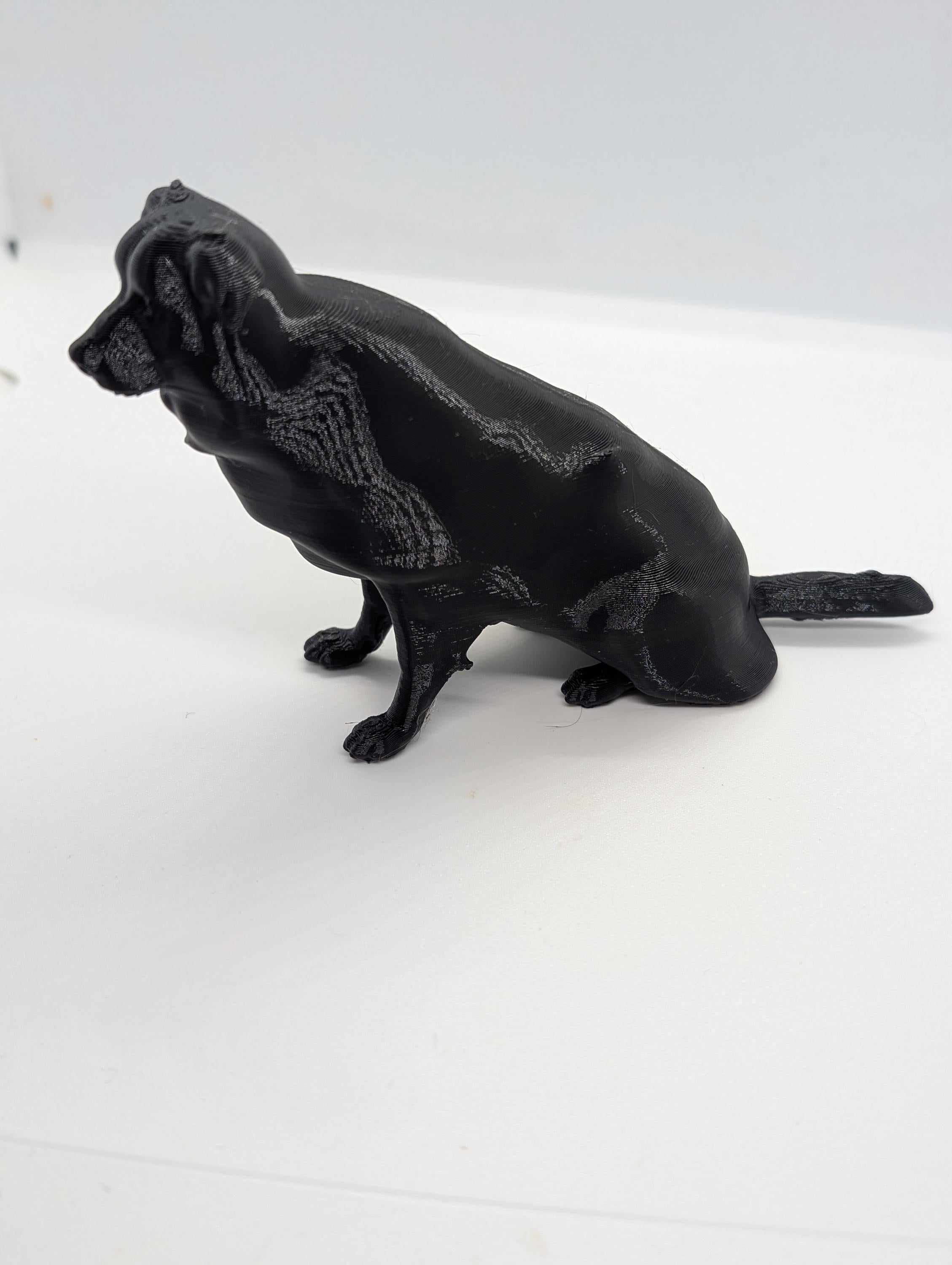Border collie dog miniature, 3D printed dog, cake topper, home decor, perfect dog gift