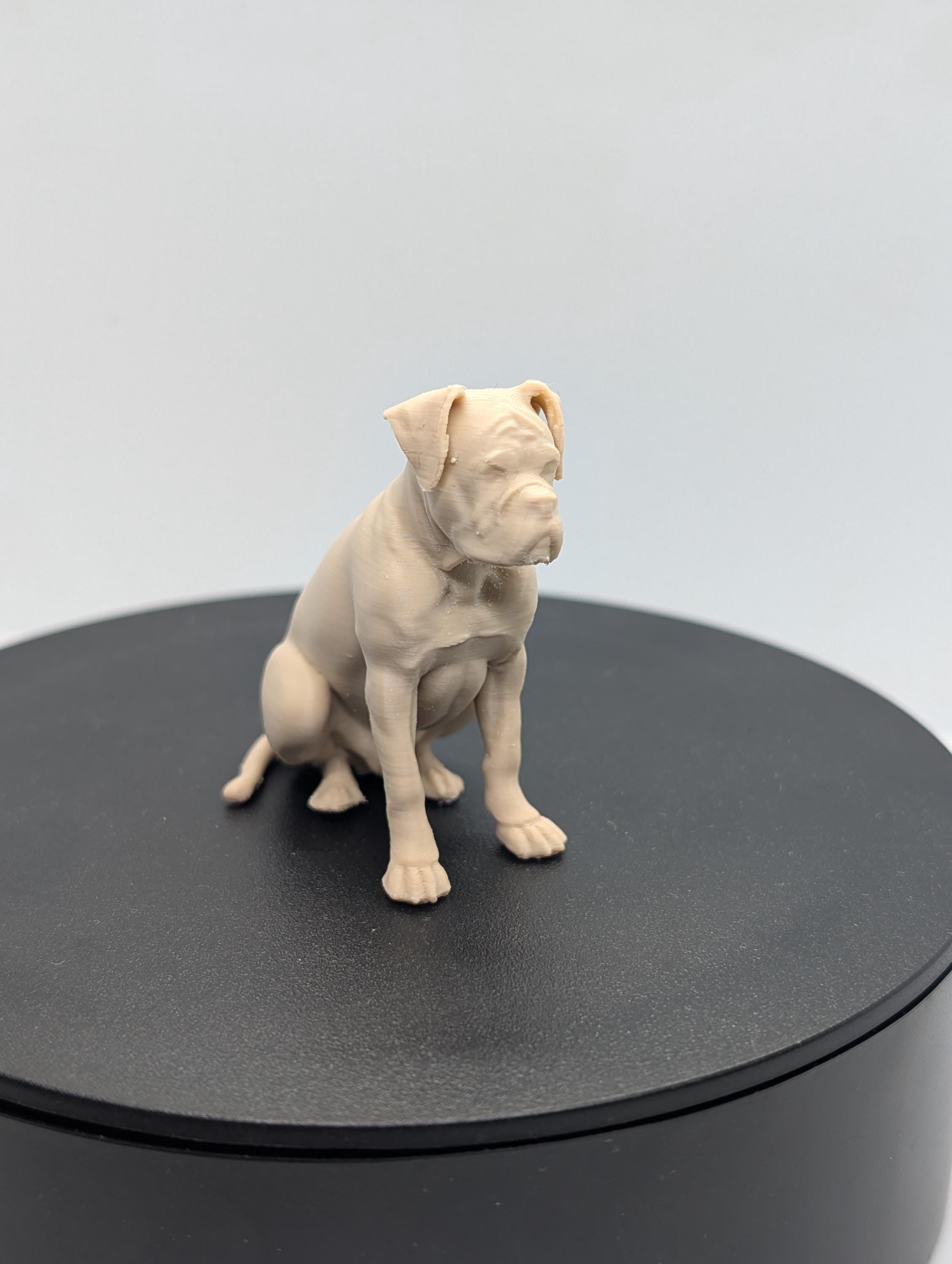 Boxer dog miniature figurine, 3D printed dog, home decor, cake topper, perfect dog lover gift,  dog memorial, pet loss memorial