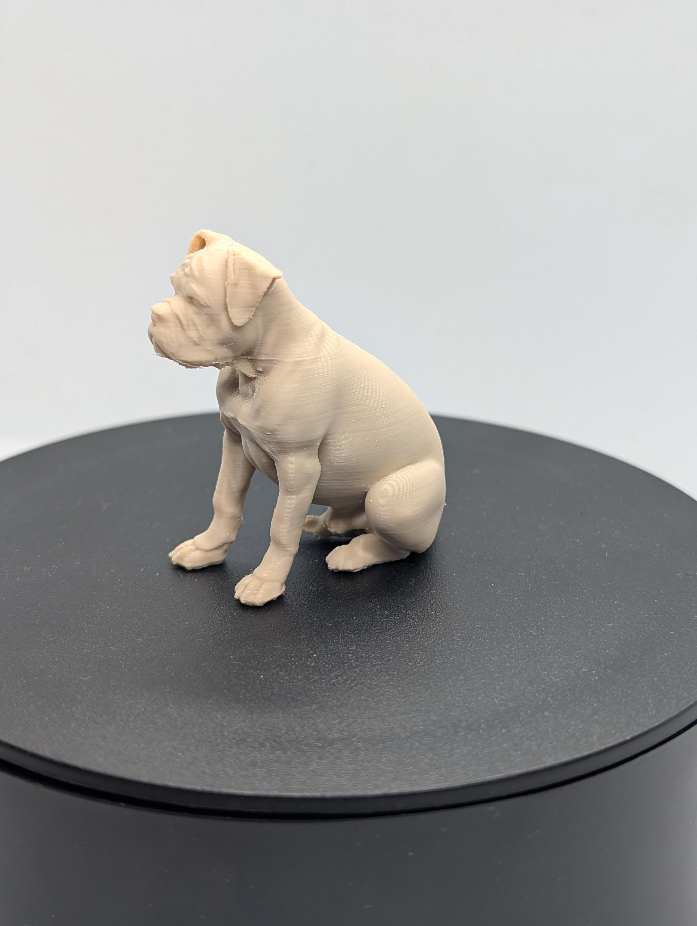 Boxer dog miniature figurine, 3D printed dog, home decor, cake topper, perfect dog lover gift,  dog memorial, pet loss memorial