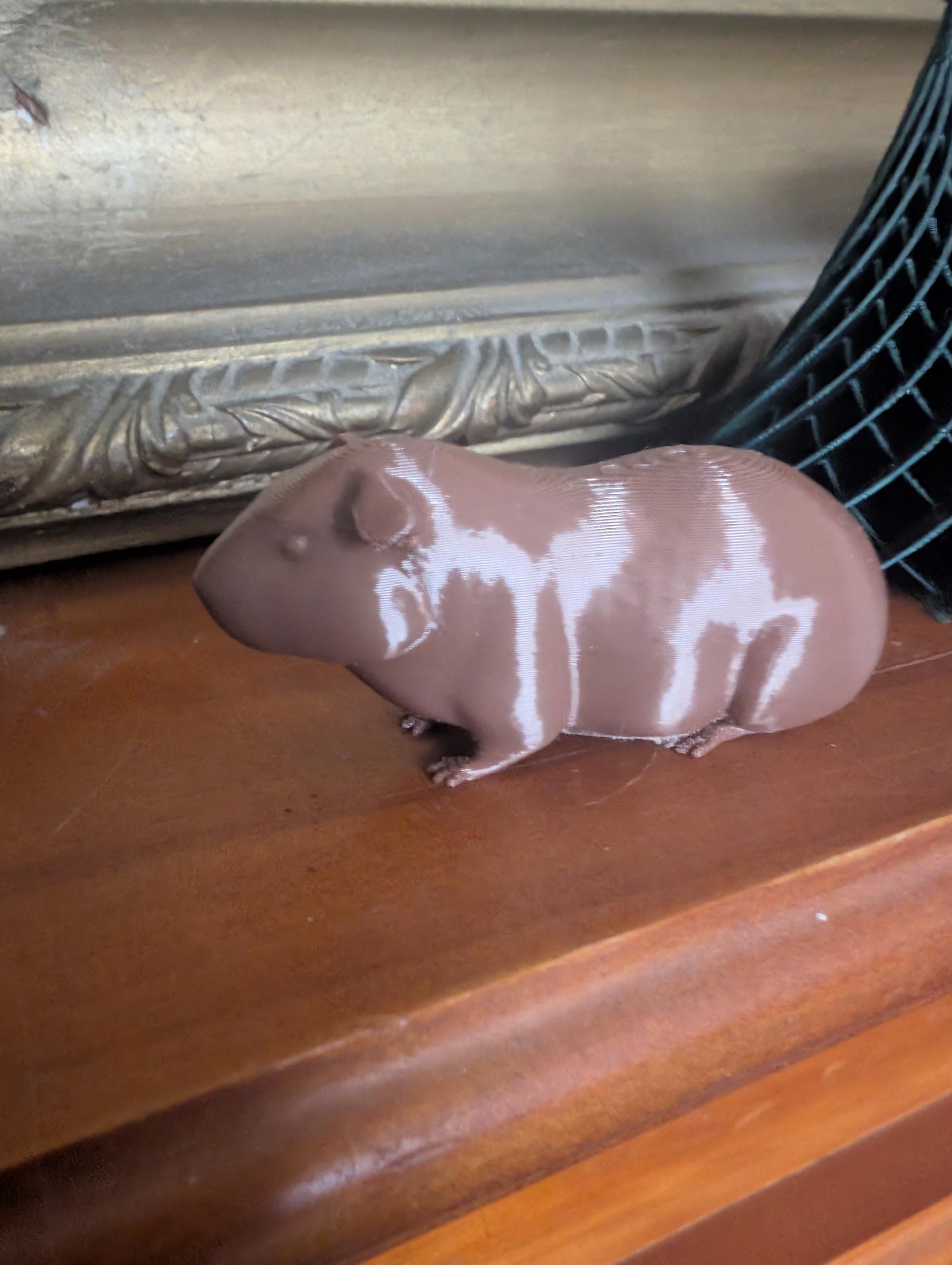 Guinea pig miniature, tabletop home decoration, 3D printed animal, Guinea pig  cake topper, pet memorial,  3d printed